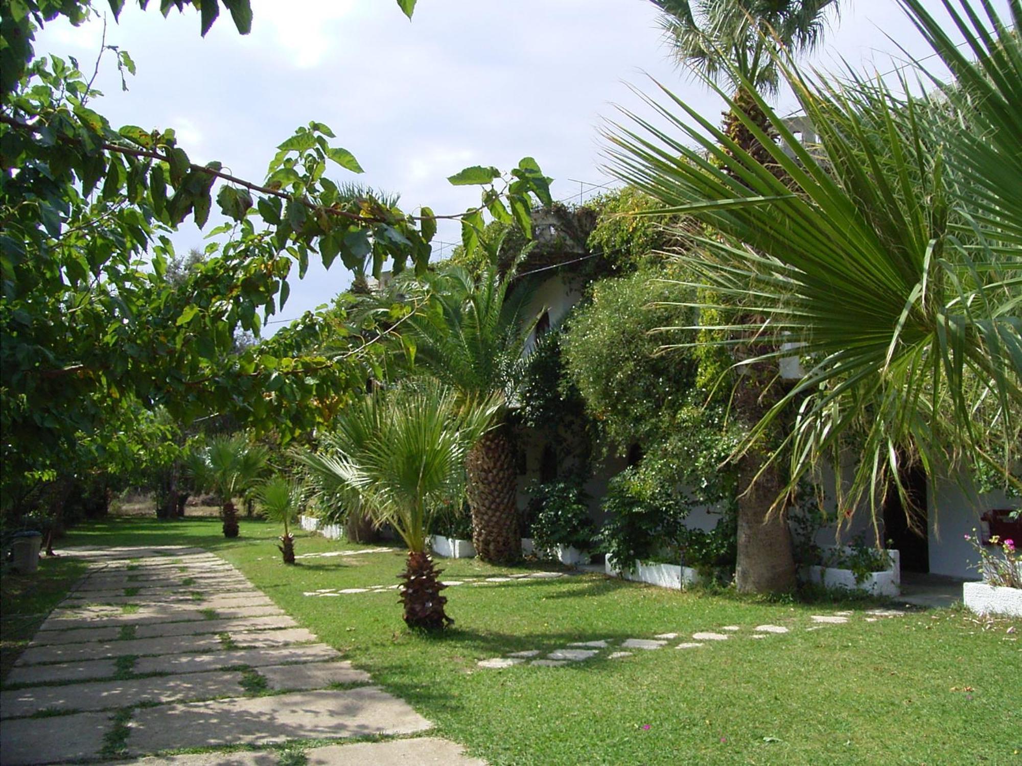 Damnoni Paradise Buitenkant foto